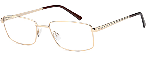 Solo 054 (Gold) Glasses